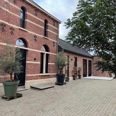 De Wilden Ezel Bed and Breakfast Mol Exteriör bild